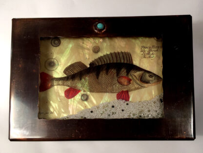 Fish Medium Box