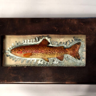 Long Fish Box