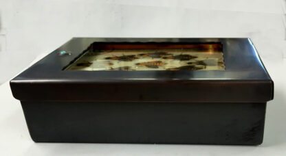 Bees Box - Image 2