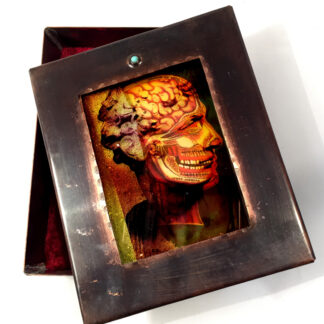 Head / Brain Box - Changeling Series