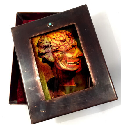 Head / Brain Box - Changeling Series