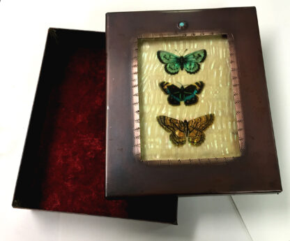 Three Butterflies Box - Image 3