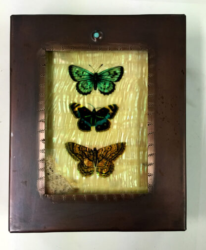 Three Butterflies Box