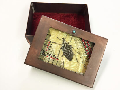Bug Box - Image 3