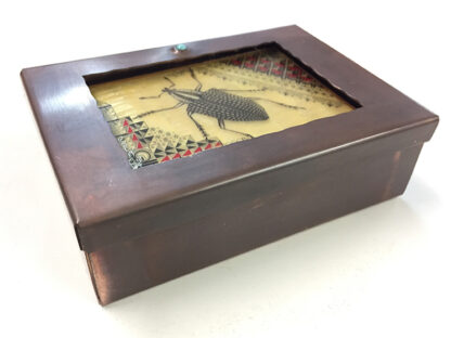 Bug Box - Image 2