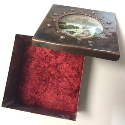 Butterfly Round Window Box - Image 3