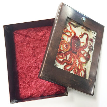Octopus Box - Image 2
