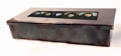 We the People Box - Changeling Series - Image 4