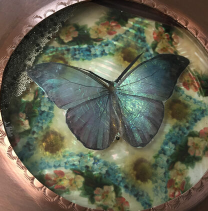 Butterfly 3D Box - Gizmo Series - Image 2