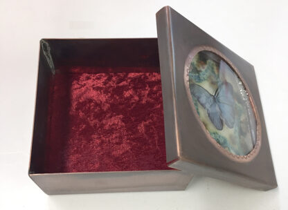 Butterfly 3D Box - Gizmo Series - Image 3