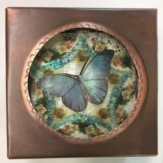 Butterfly 3D Box - Gizmo Series