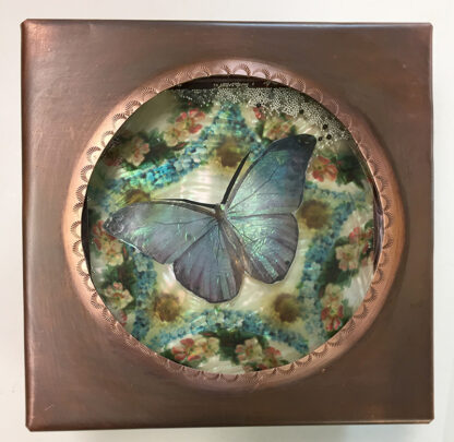Butterfly 3D Box - Gizmo Series