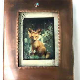 Fox in Snow Box